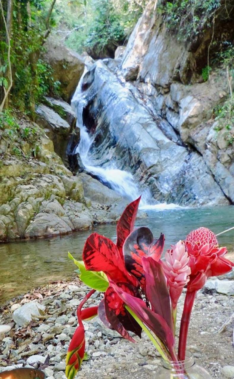 Glamping Finca Margaritas Pluma Hidalgo Экстерьер фото