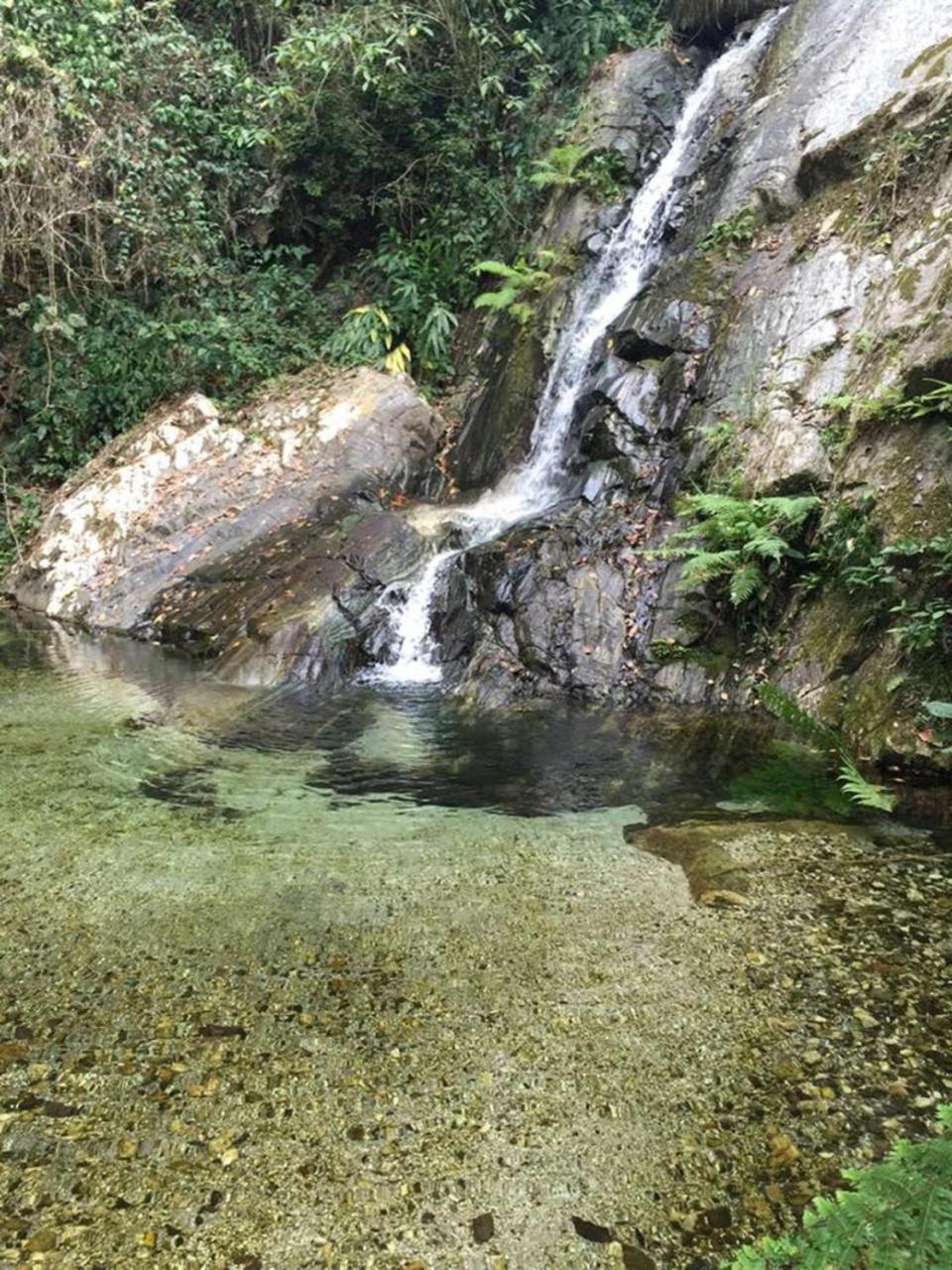 Glamping Finca Margaritas Pluma Hidalgo Экстерьер фото