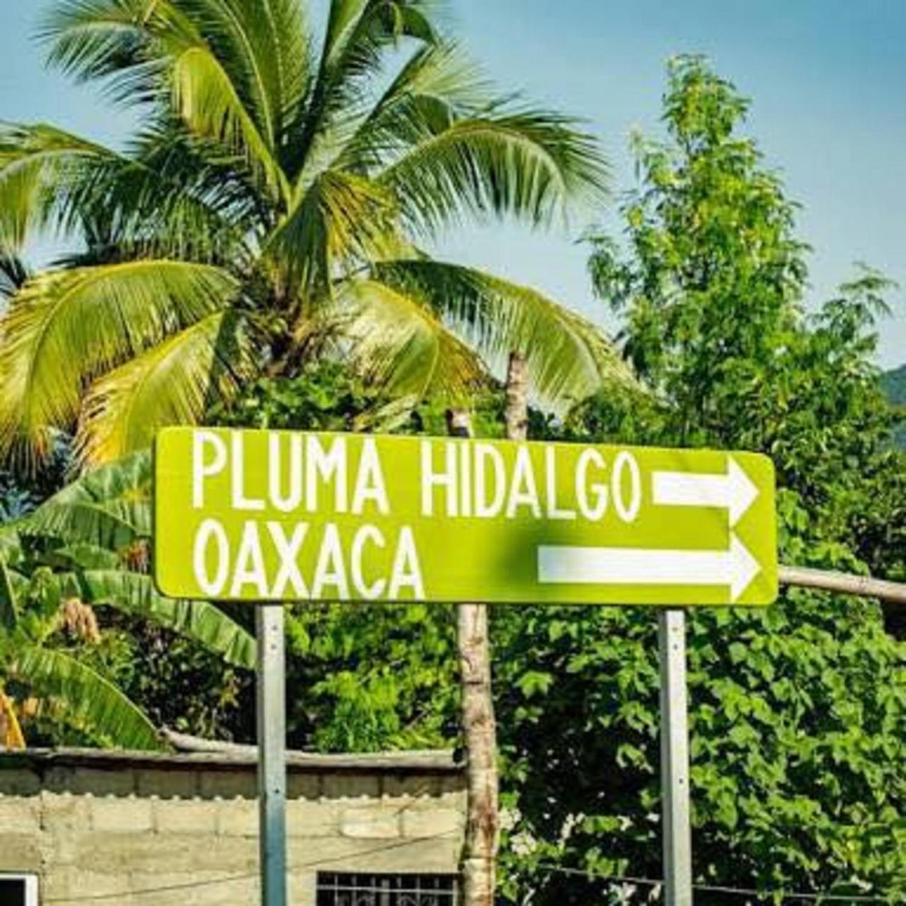 Glamping Finca Margaritas Pluma Hidalgo Экстерьер фото